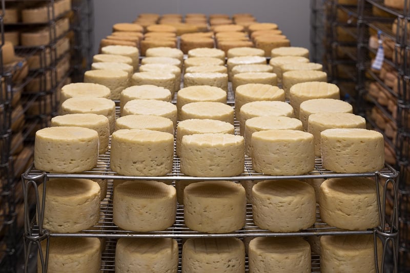 Cheese and Dairy